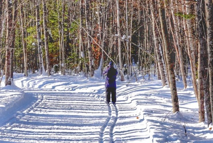 New programs offered at Trees For Tomorrow News, Sports, Jobs The